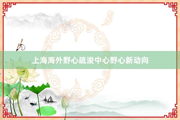 上海海外野心疏浚中心野心新动向