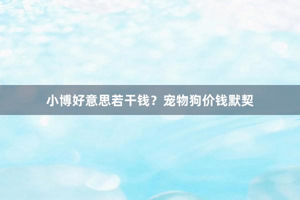小博好意思若干钱？宠物狗价钱默契